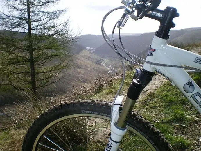 top of whites trail.webp