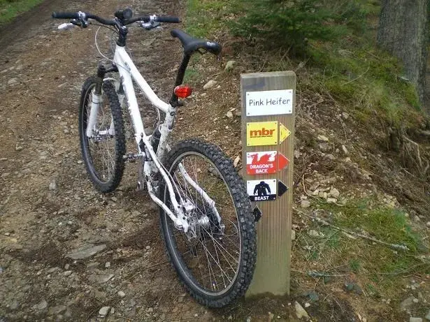 trail marker.webp