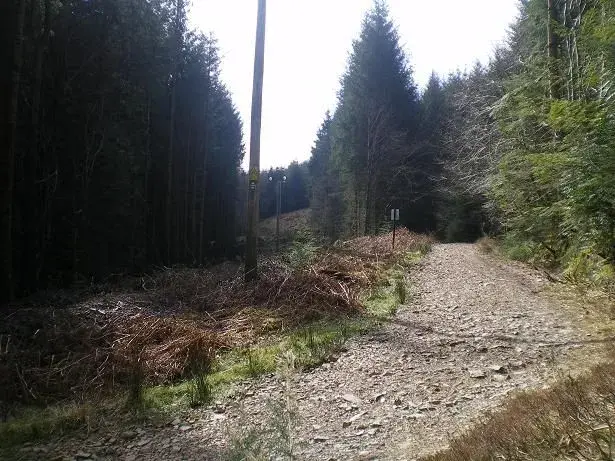 the last climb!.webp