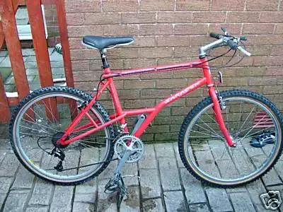saracen 1.webp