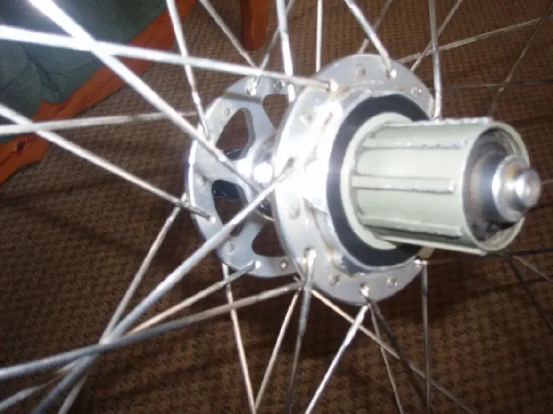 American Classic rear hub.webp