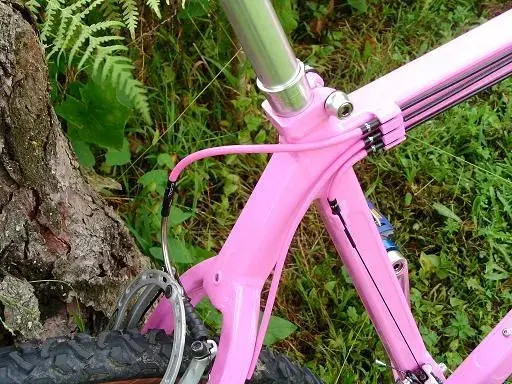 pink pace 2.webp
