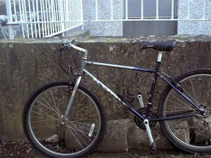 bike (Medium) (2).webp