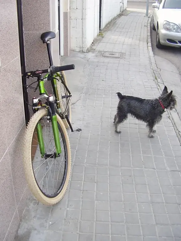 fotos 006.webp