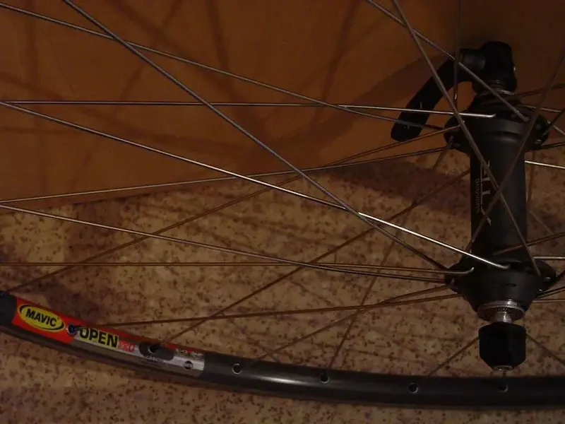 wheels 2.webp