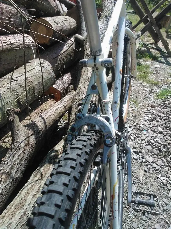 WP_000350.webp