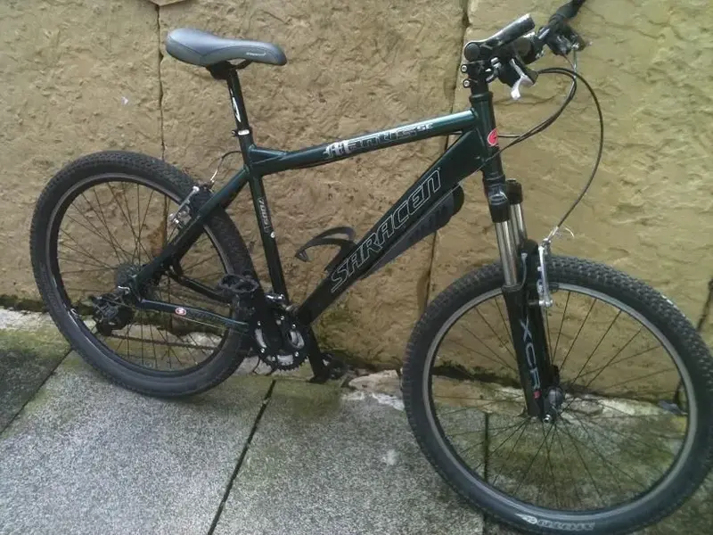 saracen.webp