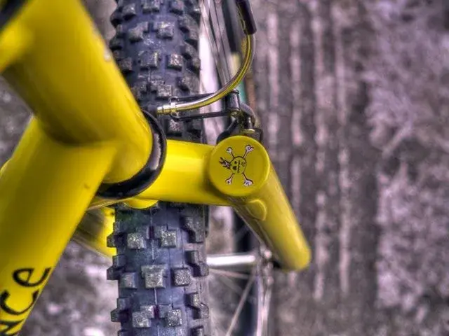 p1010469_b_c_tonemapped_848.webp