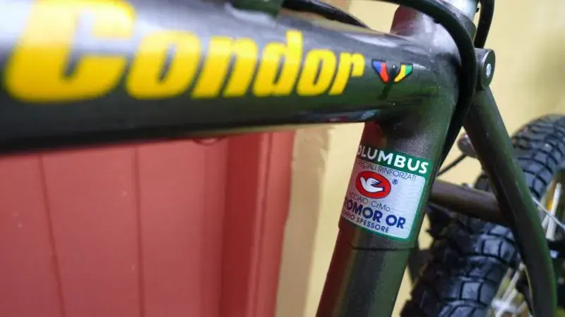 condor 10.webp