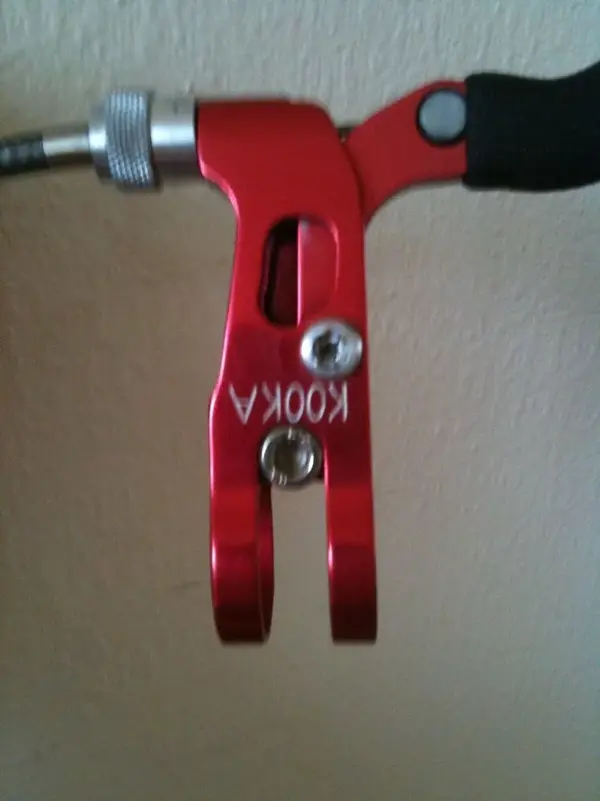Kooka 002.webp