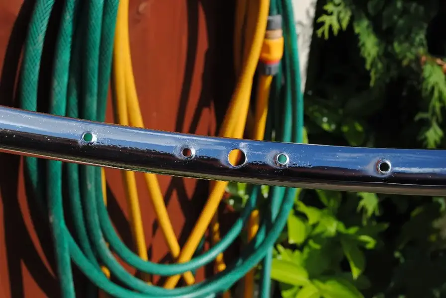 DSC_0069 (3) (Large).webp