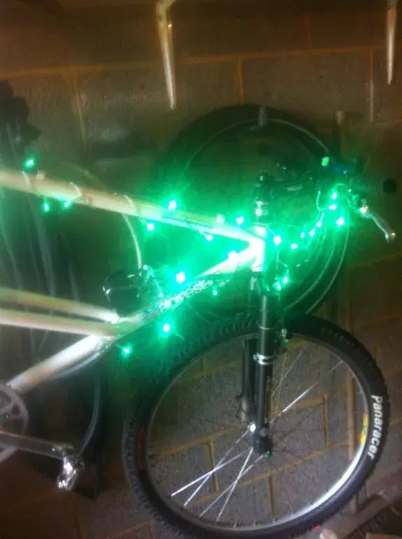 lightshow!.webp