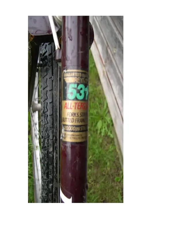 tubes 1.webp