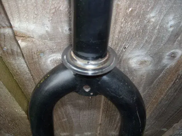 DSCN0864.webp