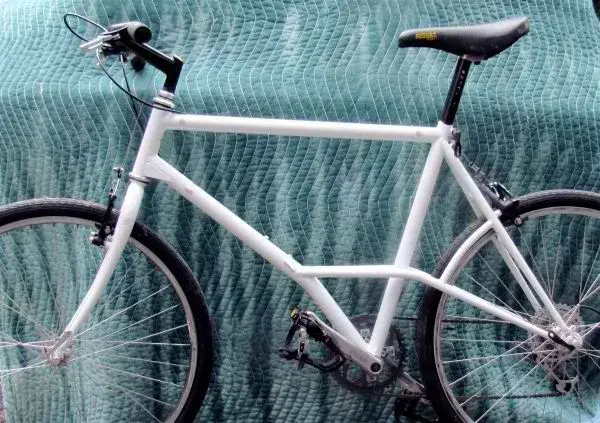 White Mountain Bike.webp