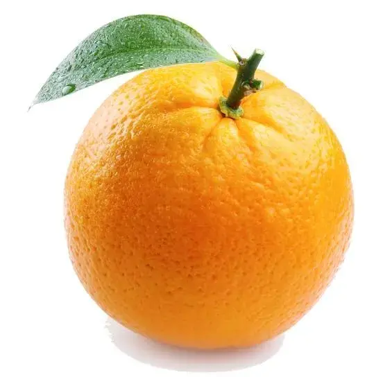 Understanding The Orange.webp