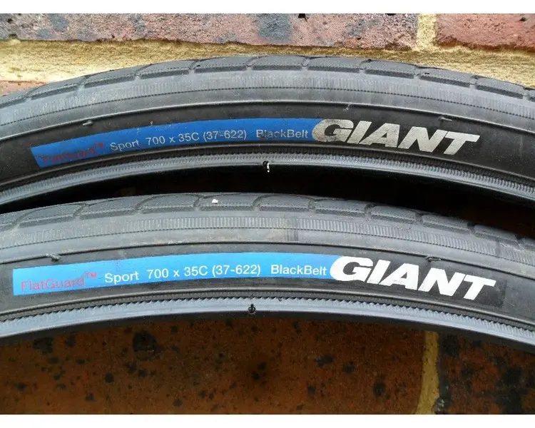 Giant_1.webp