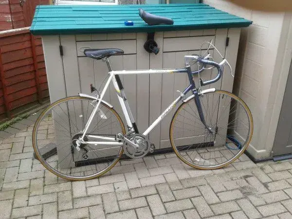 raleigh equipe.webp