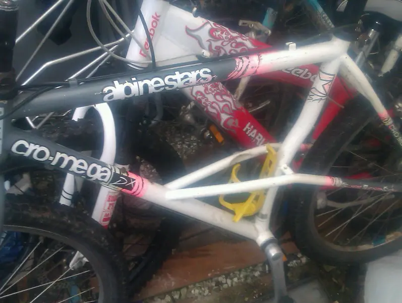 IMAG1271-1.webp