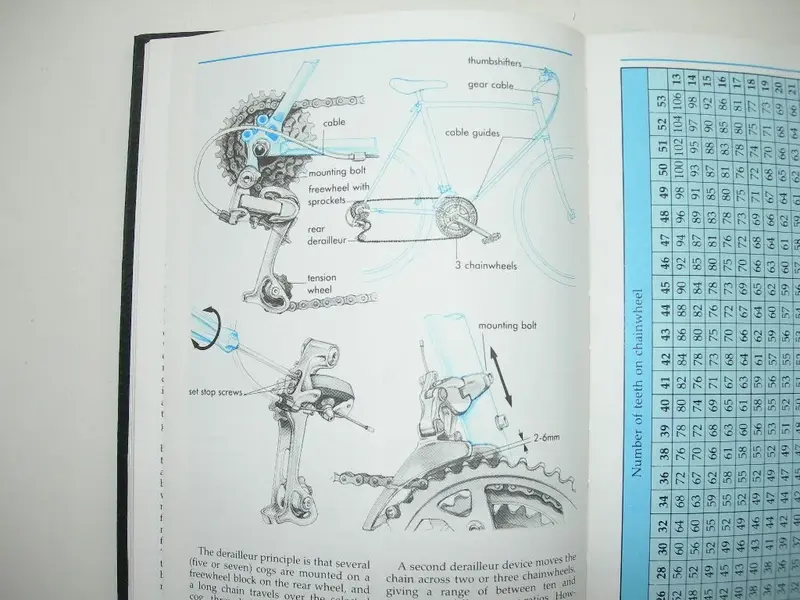 DSCN9308.webp