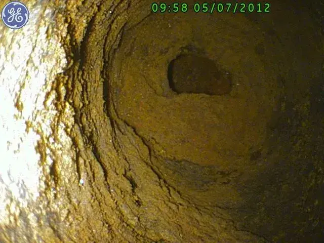1207050013.webp