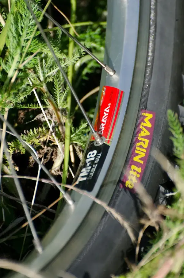 marin lite.webp