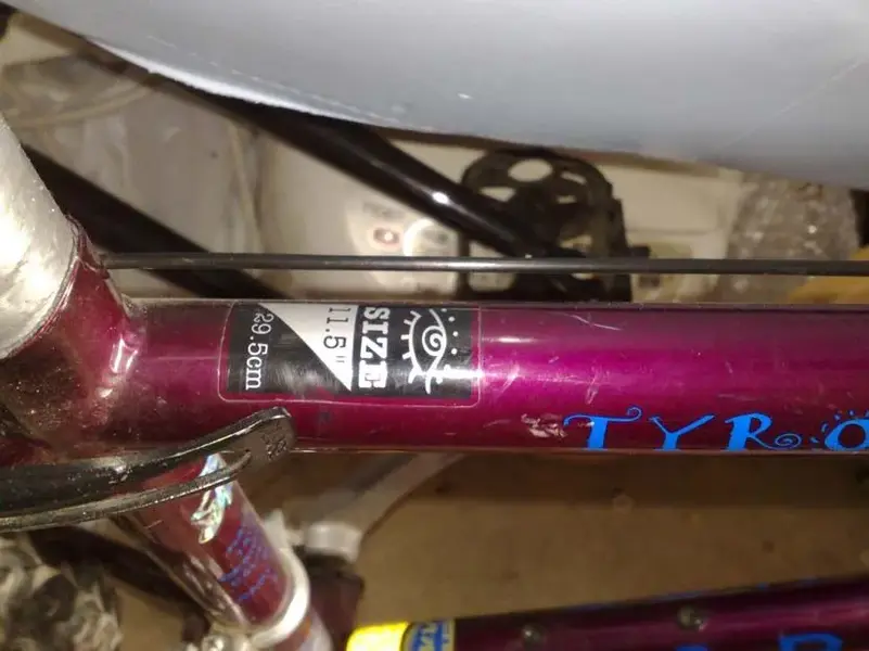 tyro2.webp