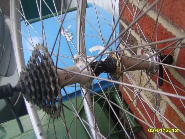 SV200764.webp