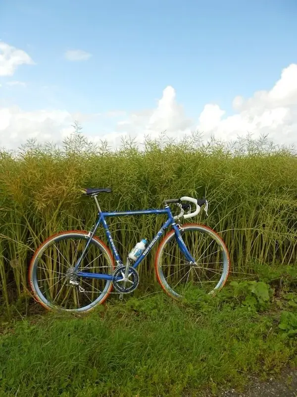 DSCN0332.webp