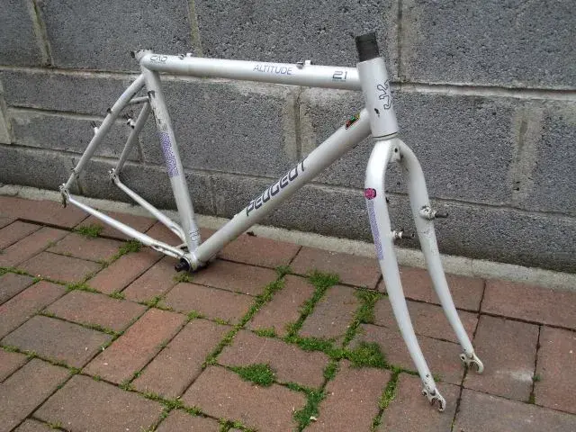 DSCF2056.webp