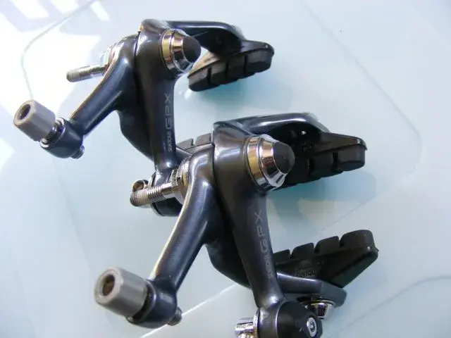 DSCF0389.webp