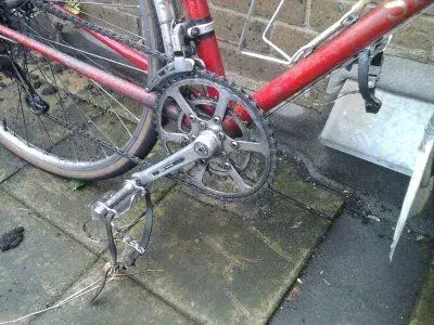 Saracen 1.webp