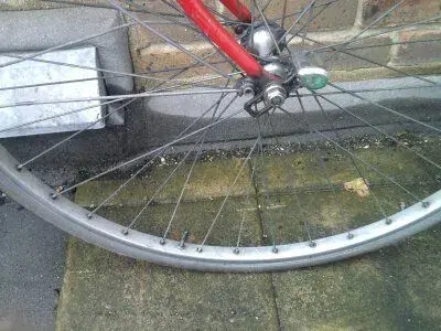 Saracen 2.webp