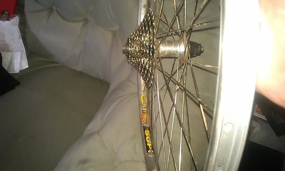 IMAG0278.webp