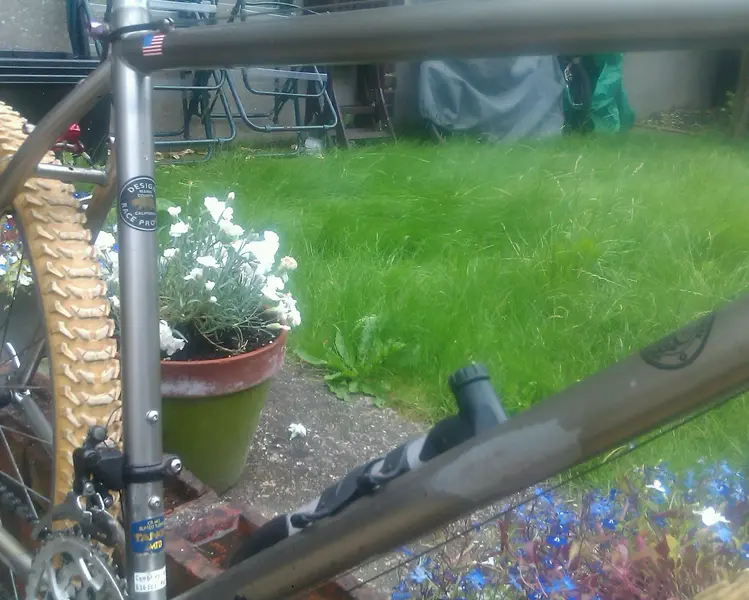 IMAG1357-1.webp