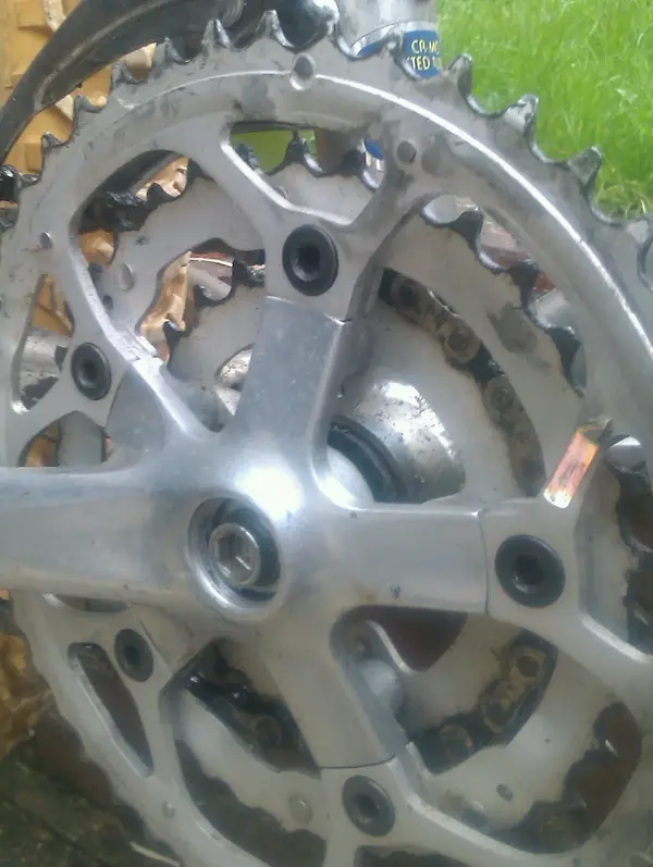 IMAG1358-1.webp