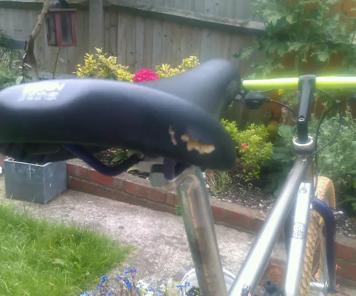 IMAG1360-1.webp