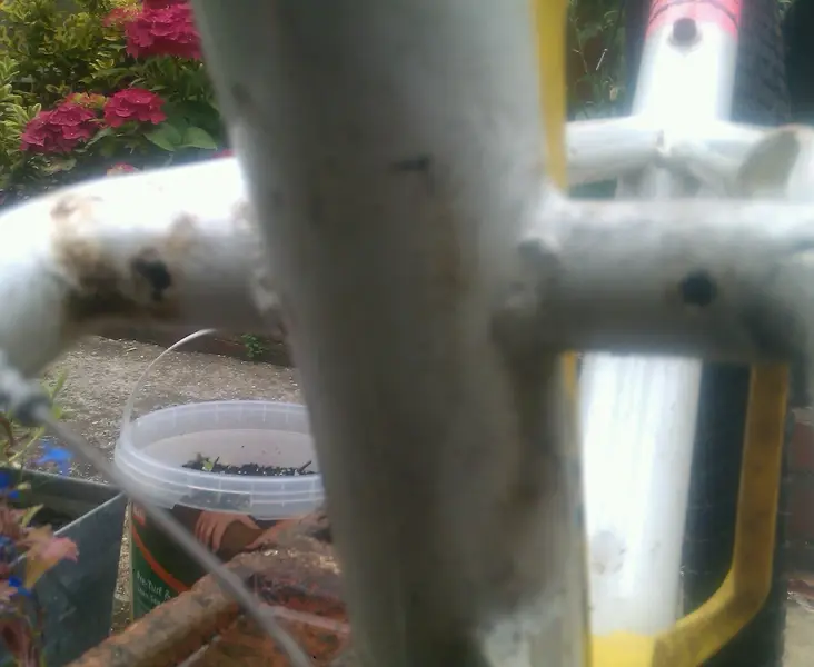 IMAG1367-1.webp
