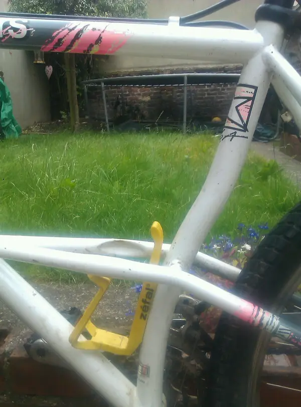 IMAG1369-1.webp