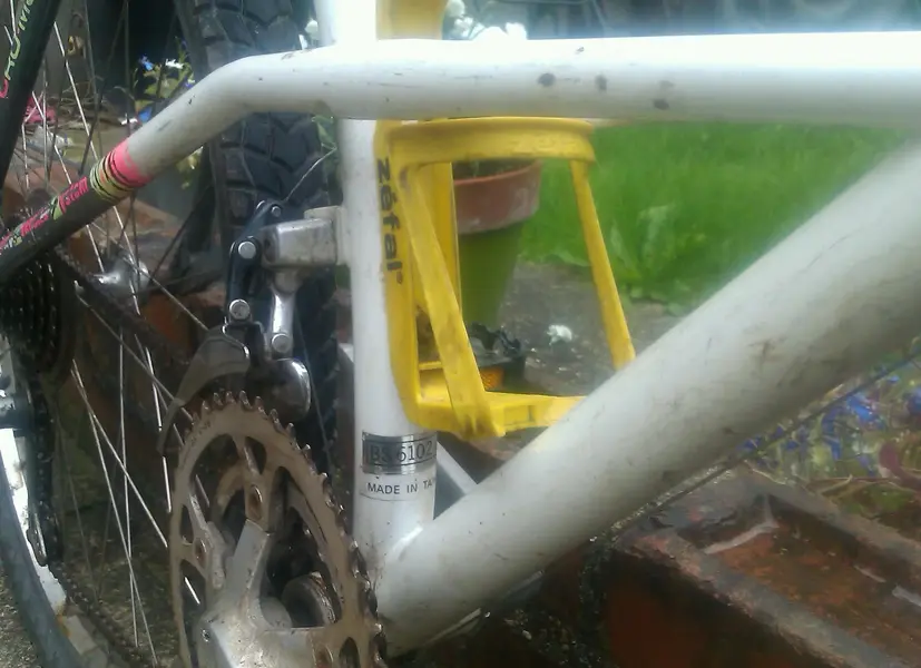 IMAG1364-1.webp