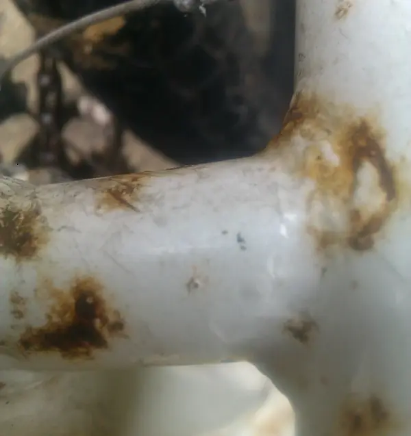 IMAG1365-1.webp