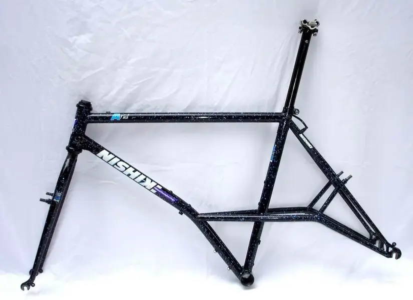 NishiKi Ariel.webp