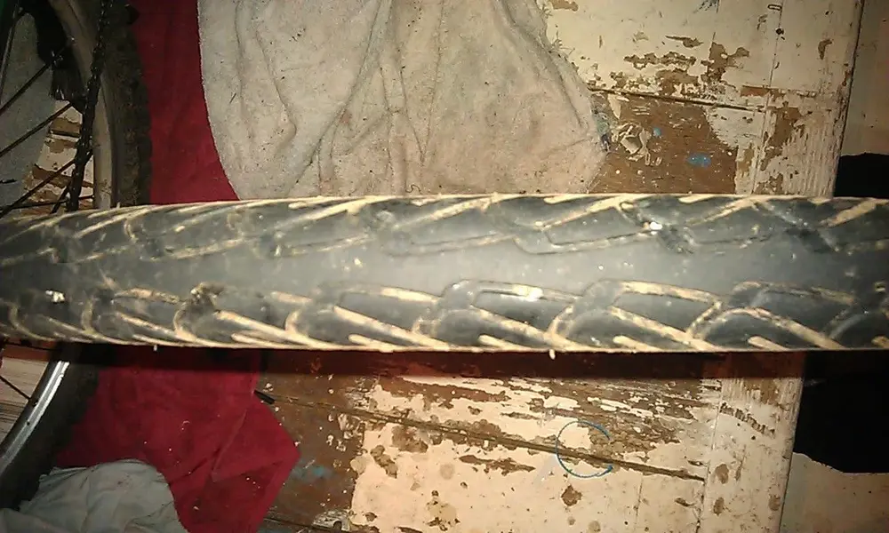 schwalbe.webp