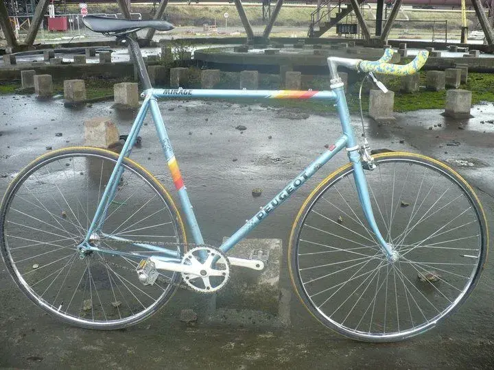 newfixie_142.webp