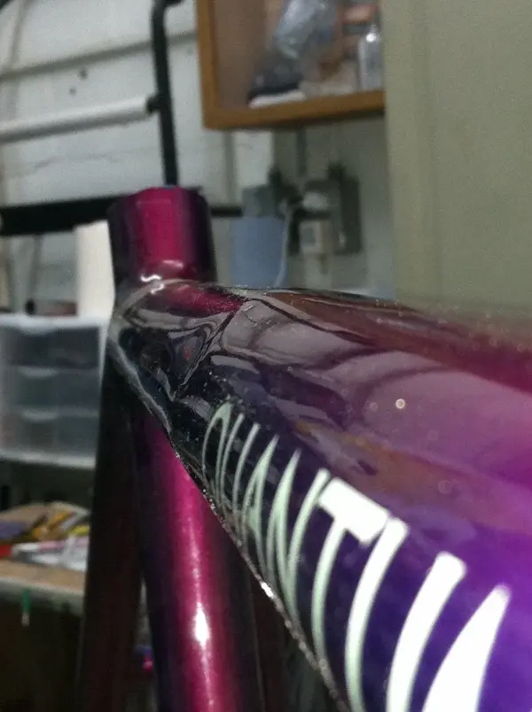 photo 1.webp