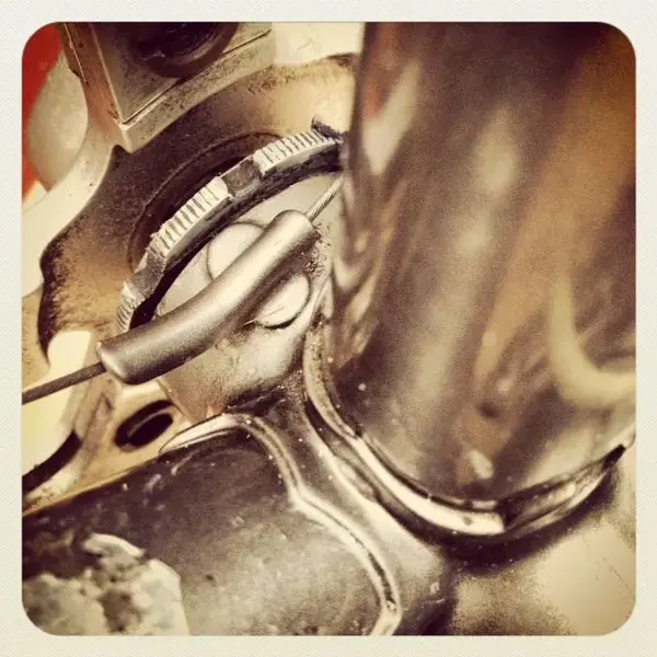 photo copy 2.webp