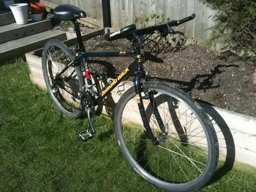 DiamondBack Apex.webp