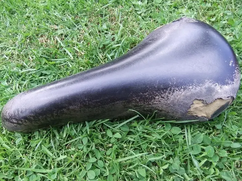 DSCF1349.webp