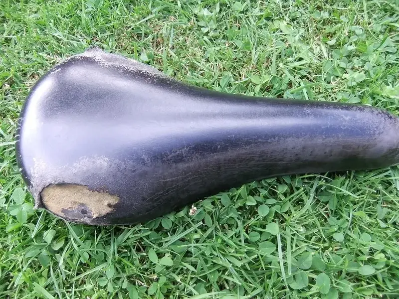 DSCF1348.webp