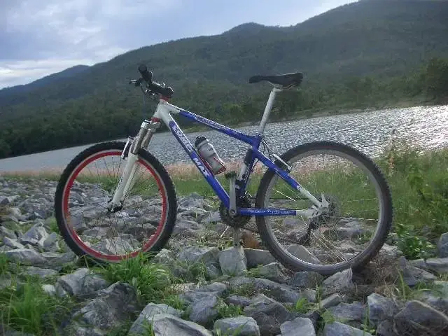 pro gear 4.webp